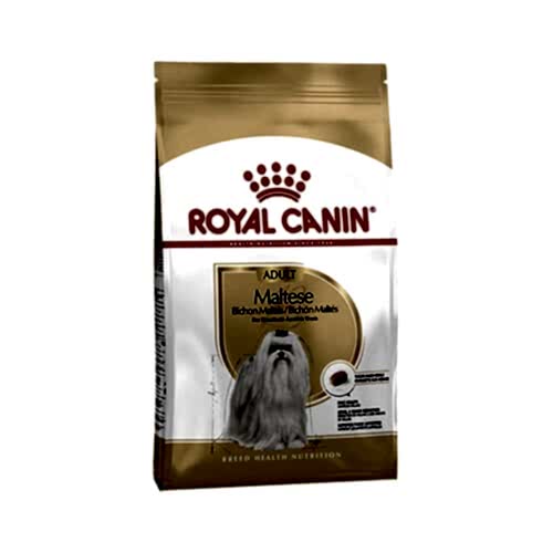 Royal Canin Maltese Terrier Yetişkin Köpek Maması (1,5 kg)