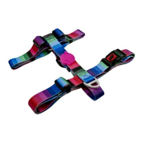Tailpetz Wave H-Tipi Boyun Tasması (S)