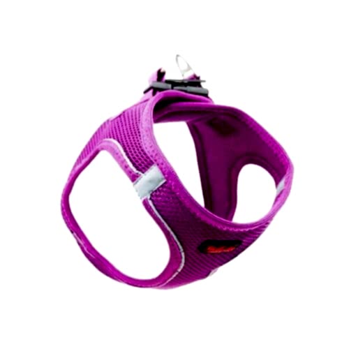 Tailpetz Air Mesh Göğüs Tasması Mor (XL)