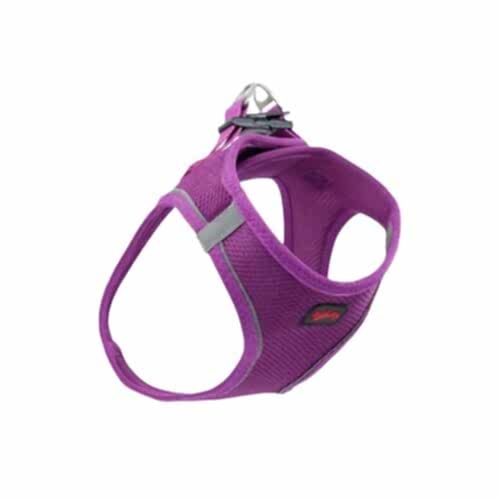 TailPetz Air Mesh Köpek Göğüs Tasması Mor (S)