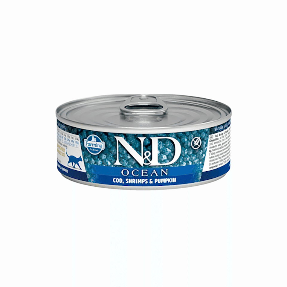 N&D Ocean Bal Kabaklı, Morina Balıklı & Karidesli Yavru Kedi Konserve Maması (80 g)