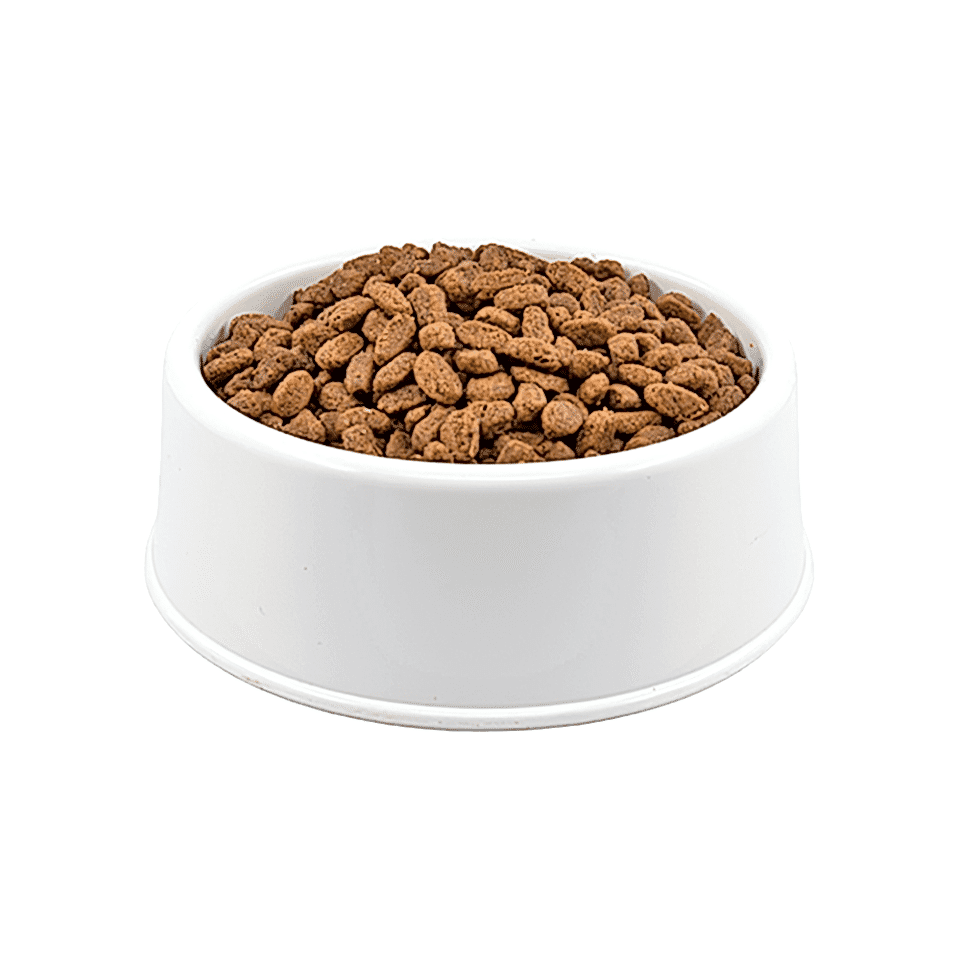 Purina Pro Plan Açık Yavru Kedi Maması