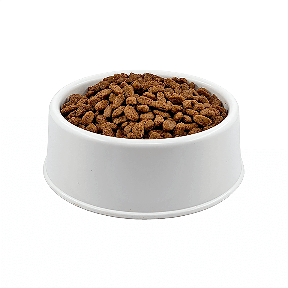 Purina Pro Plan Delicate Kuzu Etli Açık Yetişkin Kedi Maması