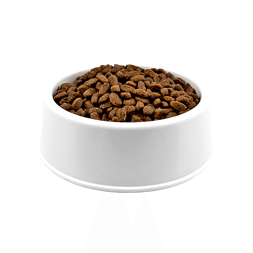 Purina Pro Plan Somonlu Açık Yetişkin Kedi Maması