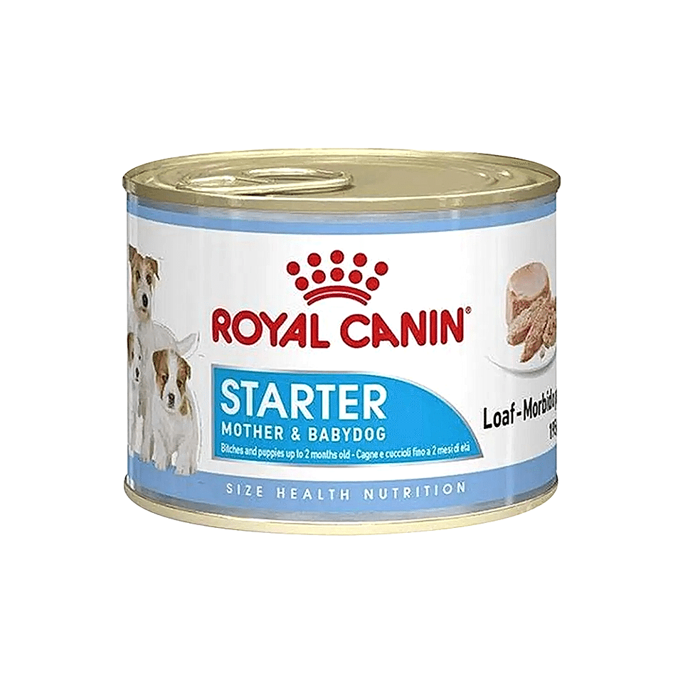 Royal Canin Starter Anne & Bebek Köpek Konserve Maması (195 g)