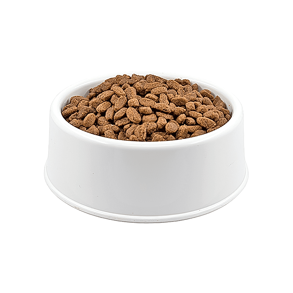 Royal Canin Fit 32 Açık Yetişkin Kedi Maması