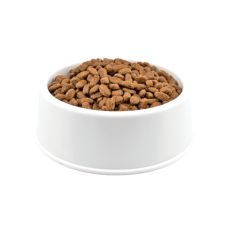 N&D Ancestral Grain Tavuk Etli ve Narlı Açık Yetişkin Kedi Maması