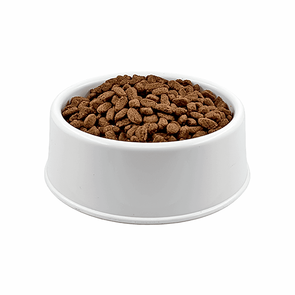 Royal Canin Açık Yavru Kedi Maması