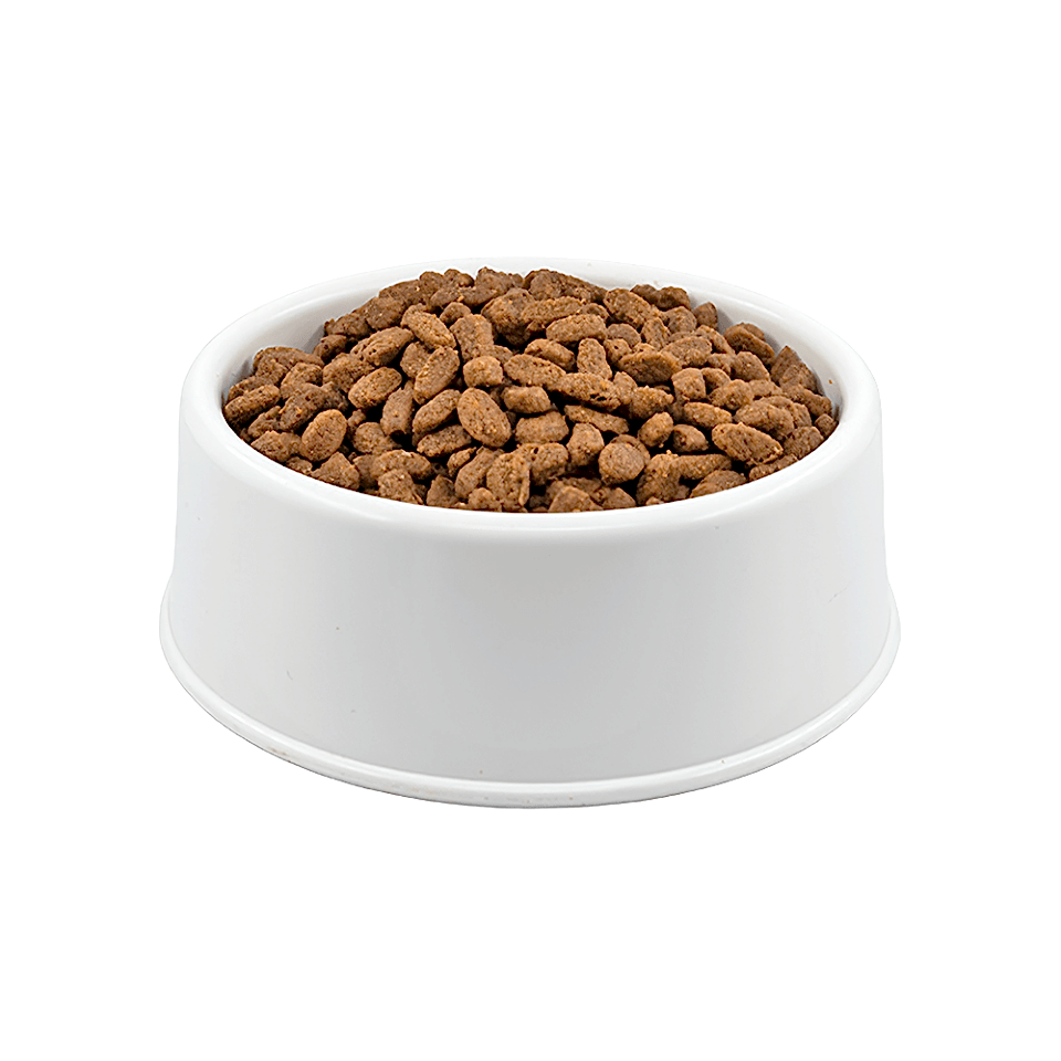 Royal Canin Açık Kısırlaştırılmış Kedi Maması