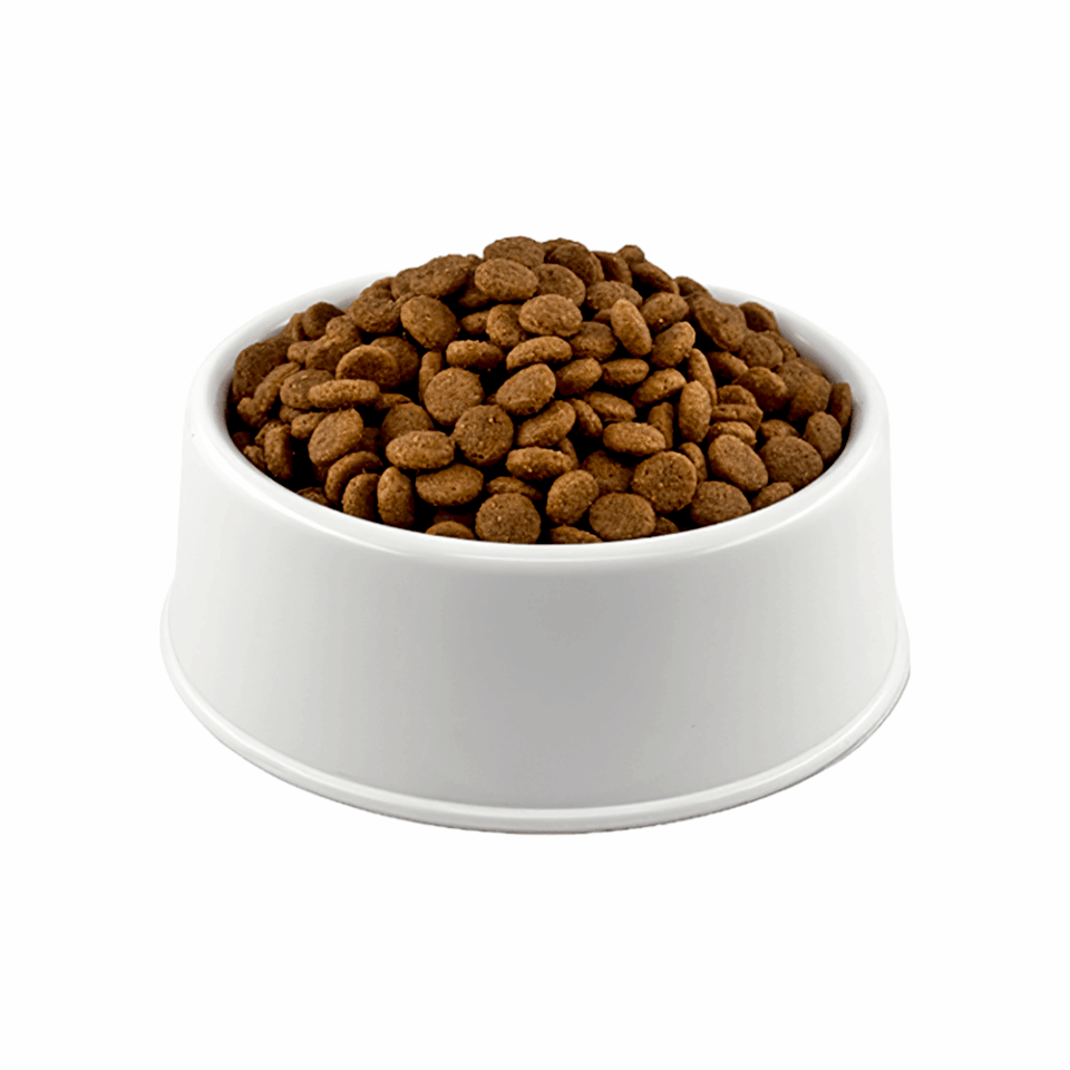 Royal Canin Büyük Irk Açık Yetişkin Köpek Maması