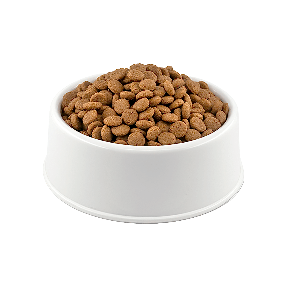 Purina Pro Plan Somonlu Orta Irk Açık Yetişkin Köpek Maması