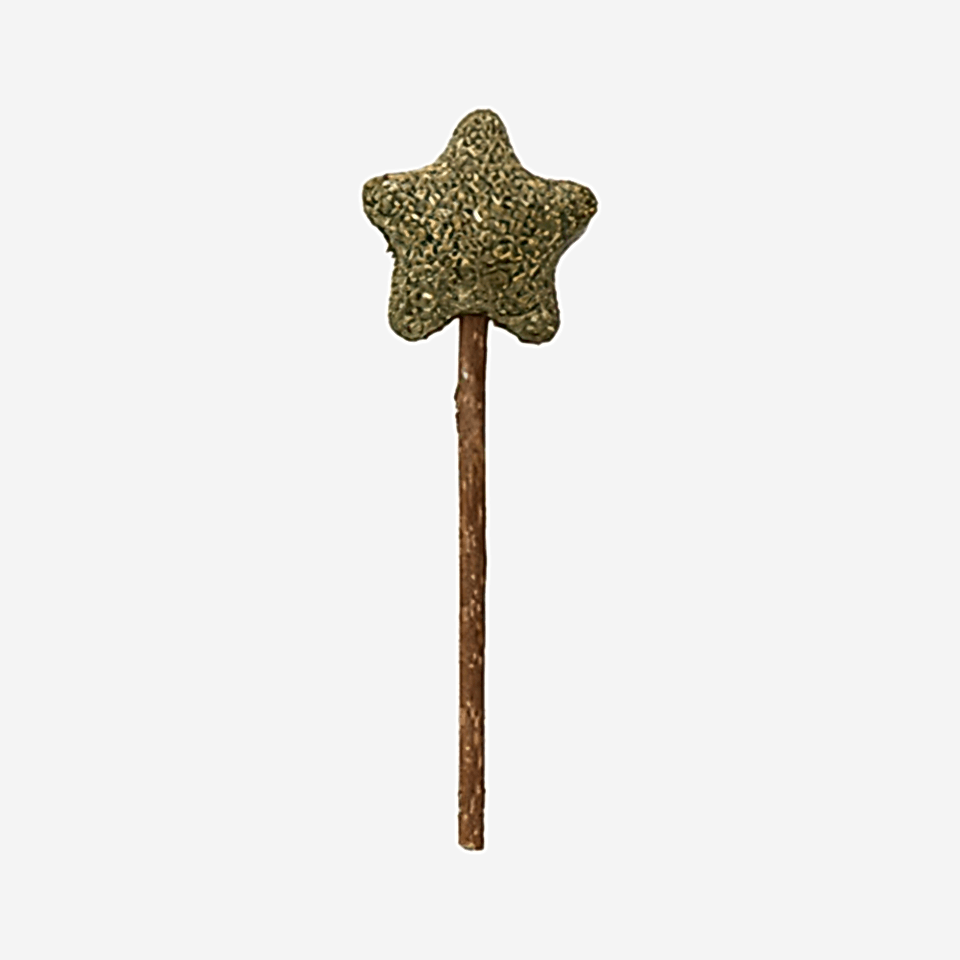 Eastland Matatabi Catnip Yıldız Kedi Lolipop (10 cm)