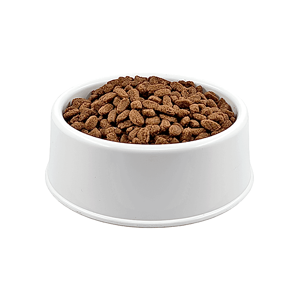 Royal Canin Küçük Irk Açık Yetişkin Köpek Maması