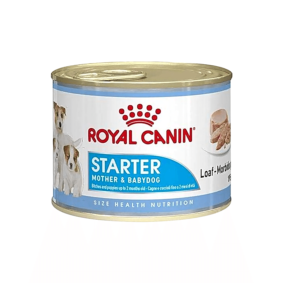 Royal Canin Starter Anne & Bebek Köpek Konserve Maması (195 g)
