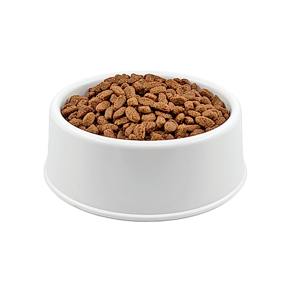 Purina Pro Plan Somonlu Orta Irk Açık Yavru Köpek Maması