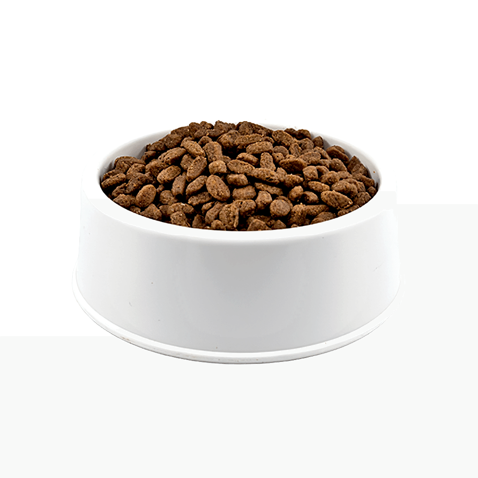 Purina Pro Plan Medium Kuzu Etli Açık Yetişkin Köpek Maması